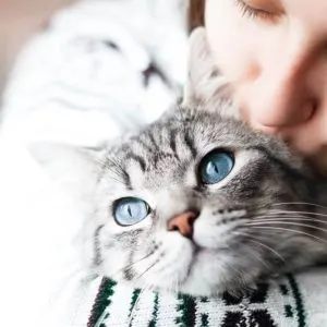 Finding Pet Friendly Apartments Can Be A Challenge