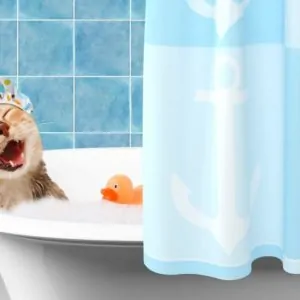 Most Cats Detest Water And Will Avoid It At All Cost