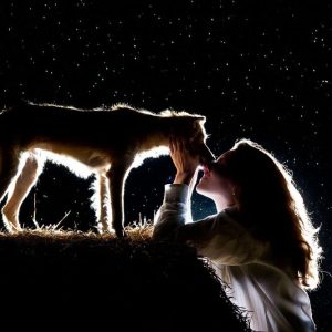 Treating Your Dog