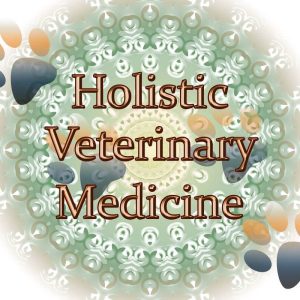 Holistic Dog Care