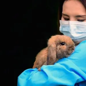 Alternative Veterinary Medicine Centre - Homeopathy