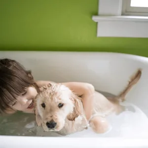 Bathing The Dog - Helpful Information