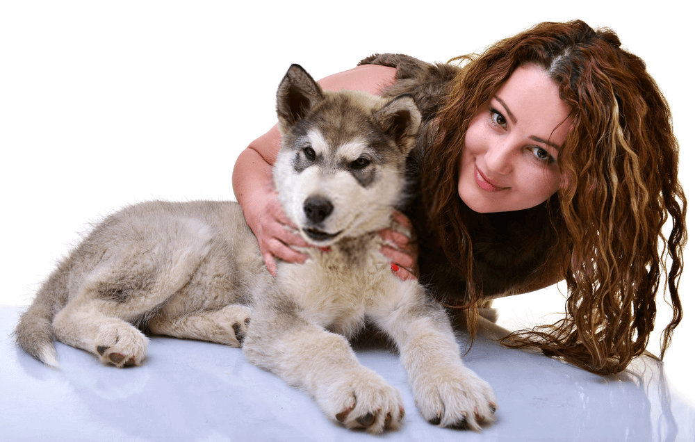 Songdog Rescue Center Malamute Rescue