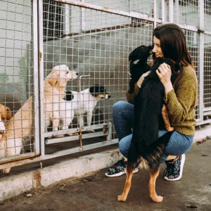 When You Adopt A Dog, You Bring A New Friend Into The Family