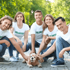 Animals For Adoption - In Need Of Some Love