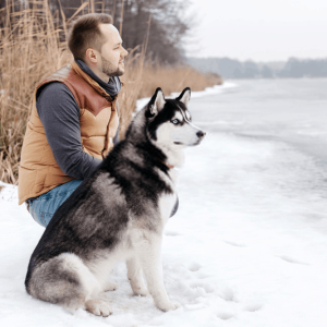 Traveling With Your Pet