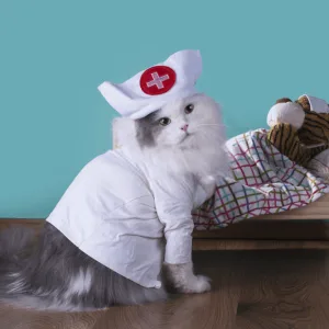 Pet Insurance