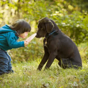 Safety Rules for Dogs and Kids Playing Together