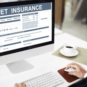 The Best Pet Insurance Reviews in the Market