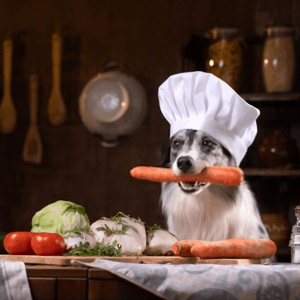Petfood & Animal Nutrition 2.0 Innovation Awards: Clear Conscience Pet®