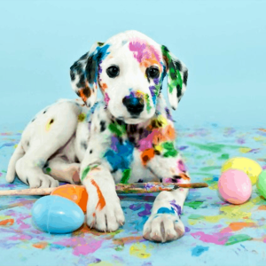 So you have a safe and stress-free Easter time