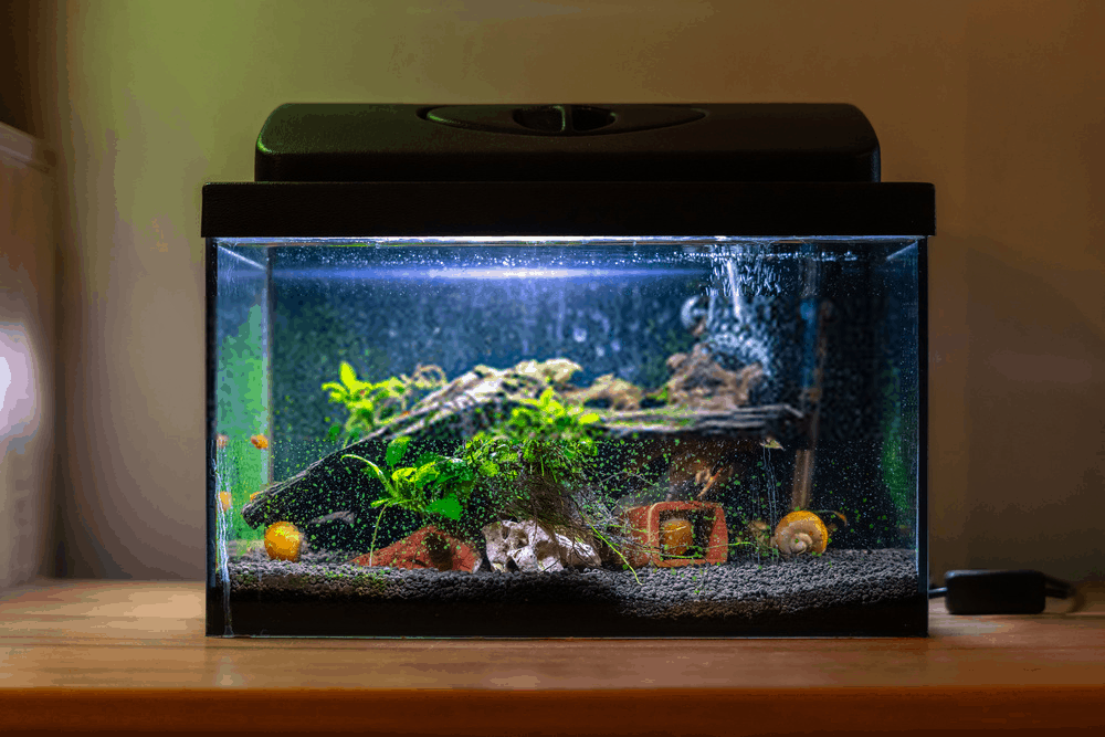 Aquarium Lighting Tips & Tricks for Pets Fish Tanks Lights Cheap