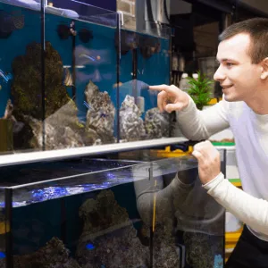 Choosing Pet Fish