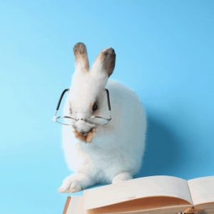 Pet Training as an Act of Kindness