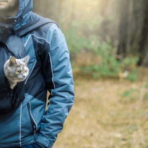 Traveling With Your Pet