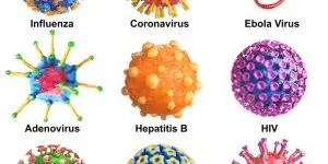 Why are our animals developing diseases at such young ages