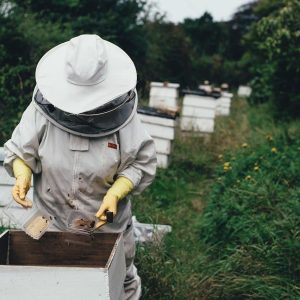 Can Anyone Keep Bees
